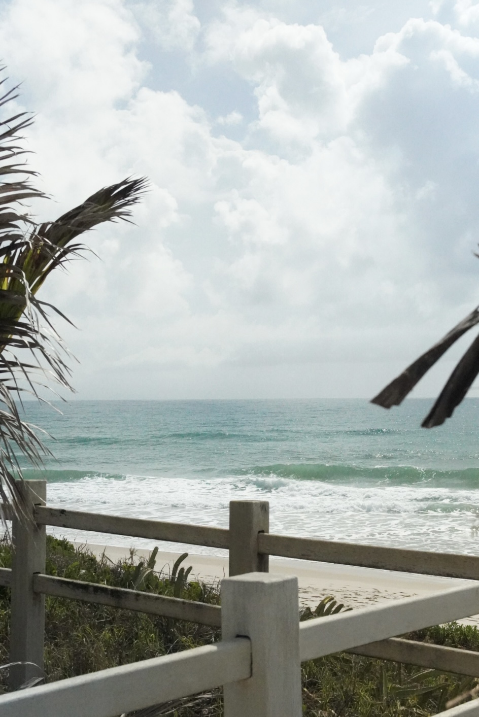 Mar visto por trás de uma cerca, com palmeiras e nuvens no céu